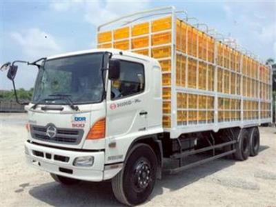 Káº¿t quáº£ hÃ¬nh áº£nh cho XE Táº¢I HINO CHá» GIA SÃC GIA Cáº¦M